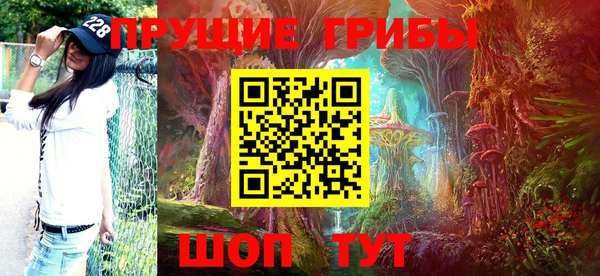 Белореченск  Галлюциногенные грибы MAGIC MUSHROOMS  Вход с VPN 